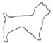 Dog - Australian Silky Terrier