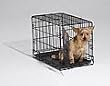 I Crate Single Door - 22" L x 13" W x 16" H