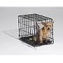 I Crate Single Door - 22" L x 13" W x 16" H