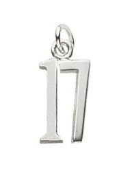 Rembrandt Charms Number 17 Charm