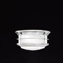 Two Light Flush Mount Fixture