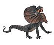 Incredible Creatures- Frilled Lizard
