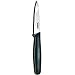 Victorinox 3-1/4-Inch Paring Knife with Large Handle