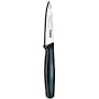 Victorinox 3-1/4-Inch Paring Knife with Large Handle