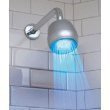 Hog Wild Temperature Controlled Shower Light