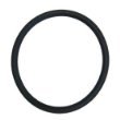 Genuine Filter Queen Belt