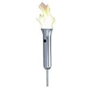 Olympic Torch