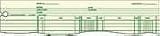 WILSON JONES / WLJGN2B / Accounting, 9-1/4 x 11-7/8, 100 Loose Sheets/pack / Sold as 1 PK