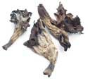 BLACK TRUMPET,(DRIED) 15 lbs. by Angelina's Gourmet