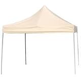 On The Edge Marketing OTE200017 Tan Canopy 10 x 10