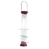 Burgundy Thistle Feeder 23 in.