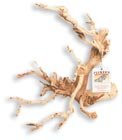 Iguana Branch 18 - 20 (medium)