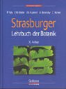 Strasburger Lehrbuch der Botanik. Mit CD-ROM - P. Sitte