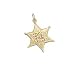 Star of David, 14K Gold Charm