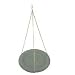 Pet Supplies : Whitehall Products Hanging Birdbath