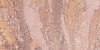 Laura Geller Balance and Brighten Regular