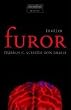 Furor: Thriller