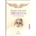 Erwachen. Eine Sufi-Erfahrung. (Taschenbuch)