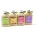 11BBWN5FyvL. SL75  Organic Bath Company Daily Body Scrub