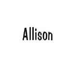 Clearly Charming Name Allison Stainless Steel Text Numbers Types Italian Charm Link