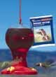 Hummingbird Feeder 16 Ounce