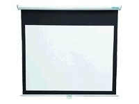 Electronics: In Focus SC MANWHT 60 Manual Pull Down Screen. 60IN White