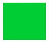 Photography Backdrop Chromakey 6'x9' background