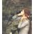 J.W.Waterhouse