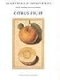 Citrus Fruit (Paper Museum of Cassiano dal Pozzo)