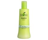 ESUCHEN Olive Shampoo 500ml