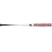 DeMarini Bruiser Slow Pitch Softball Bat (30- Ounce, 34- Inch)