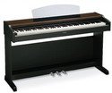 11BPGtnvtxL. SL160  YDP213 Digital Piano