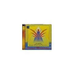 Erzengel-Meditationen. CD: Engel f�hren uns zum Licht. Engel begleiten unseren Weg