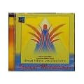 Erzengel-Meditationen. CD: Engel f�hren uns zum Licht. Engel begleiten unseren Weg