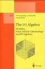 The W3 Algebra: Modules, Semi-Infinite Cohomology and Bv Algebras (Lecture Notes in Physics New Series M)