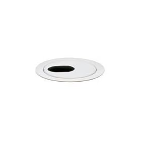 Lightolier 1452 - Lightolier Lytecaster Accessory