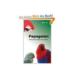Papageien: Richtig halten, pflegen und verstehen
