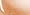 Lacy Apricot 147
