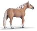 Palomino Stallion