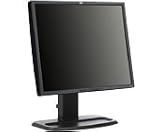 HP L1955 - Flat panel display - TFT - 19" - 1280 x 1024 / 75 Hz - 0.294 mm - DVI, VGA (HD-15) - silver