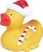 Christmas Duck