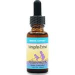 Astragalus (Alcohol Free) 1 fl.oz