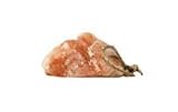 Hh Rock Salt Lick 6.6# 3
