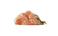 Himalayan Horse Rock Salt Lick