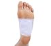 Verseo Detox Foot Patch - Detoxify your body while you sleep!