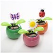 You Get 1 Solar Powered Dancing Flower Plant Toy Style Will Vary