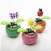 You Get 1 Solar Powered Dancing Flower Plant Toy Style Will Vary