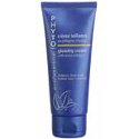 Phyto Professional Glossing Cream 3.3 oz