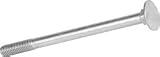 Stainless Steel Coach Bolt M6 x 100 10 Pack