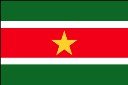 4 x 6 FT - SURINAME FLAG - INDOOR-PARADE